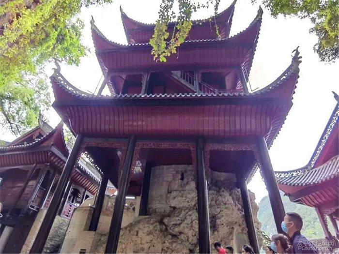 探索冷知识,尽在三毛为什么要结束自己的生命?!